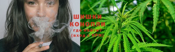 каннабис Аркадак